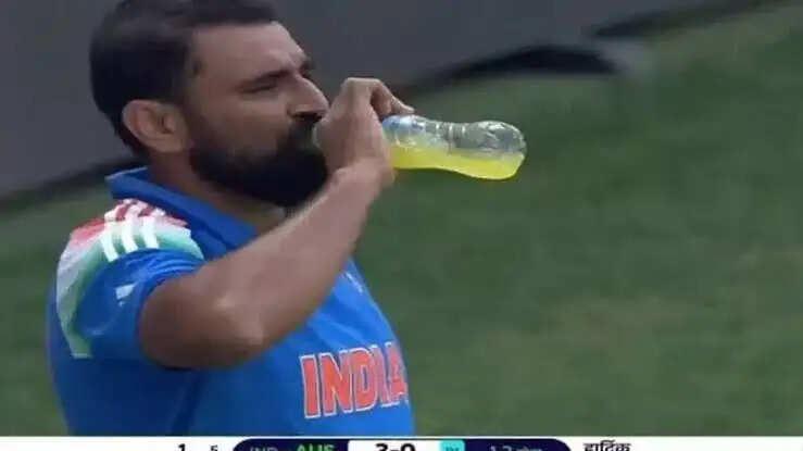 Shami